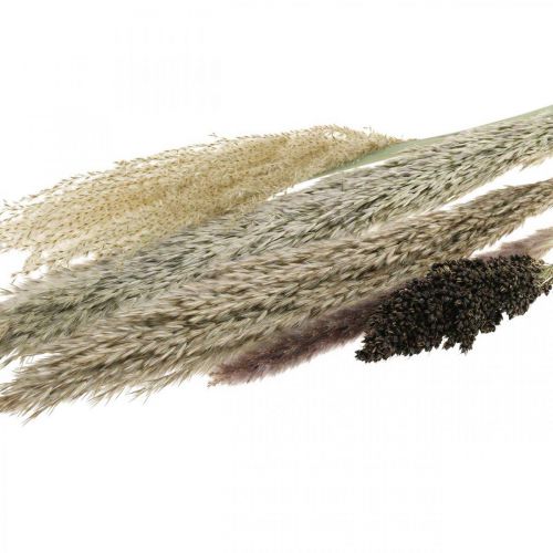 Produkt Suszone trawy w pęczku Florystyka sucha Bukiet suchy wys.70cm