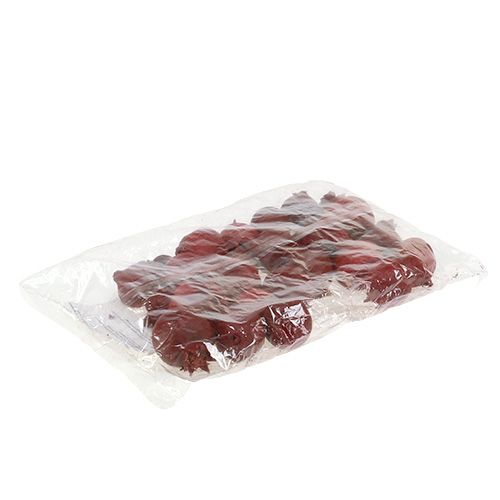 Floristik24 Granaty 250g