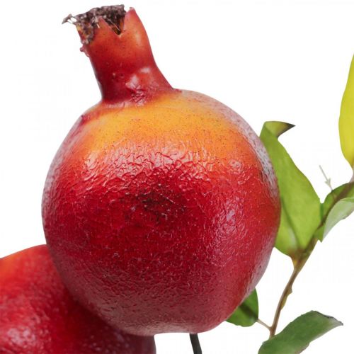 Floristik24 Dekoracja dekoracyjna gałązka granatu, owoc ozdobny, granat ozdobny 39cm