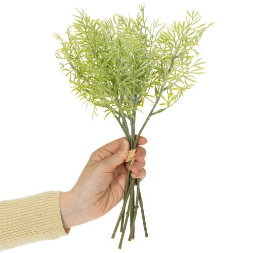 Produkt Gałązka szparaga ozdobna, naturalny dodatek do bukietów, 34 cm, 7 sztuk
