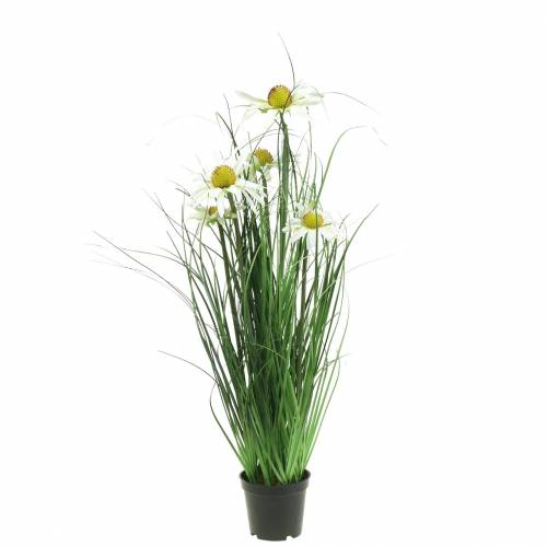 Floristik24 Trawa z jeżówką sztuczna w doniczce Biała 52cm