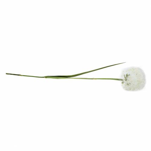 Floristik24 Dekoracja dandelion 100cm