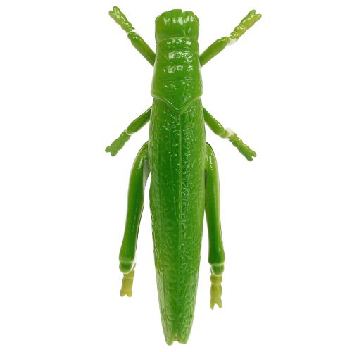 Produkt Konik polny zielony 11cm 1 szt