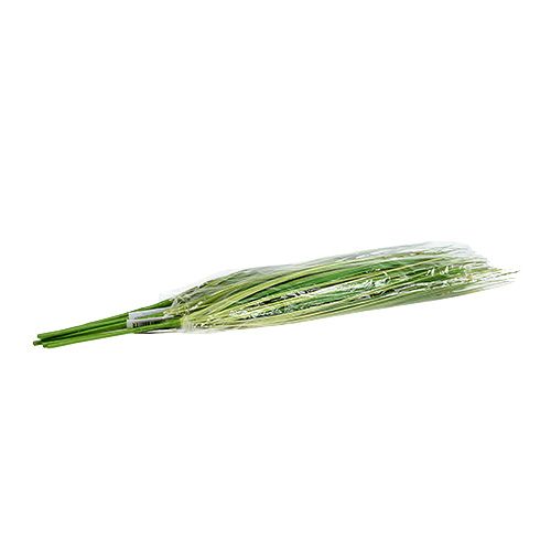 Floristik24 Gałązka trawy z kwiatami 58cm Zielona 6szt