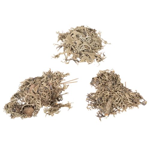 Mech ozdobny, mech szary do prac rękodzielniczych, 500g | Floristik24.pl