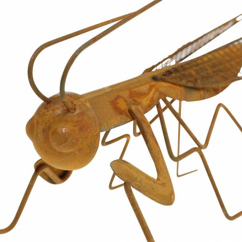 Floristik24 Dekoracja ogrodowa świerszcz stal nierdzewna 14,5cm
