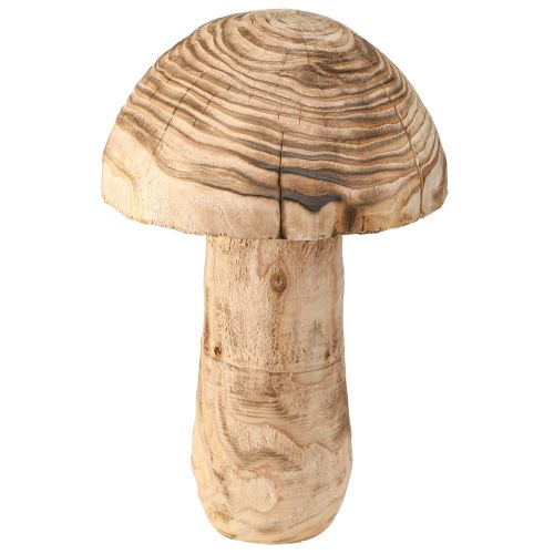 Floristik24 Duży drewniany grzyb dekoracyjny z drewna grzybowego Paulownia Ø21cm W33cm