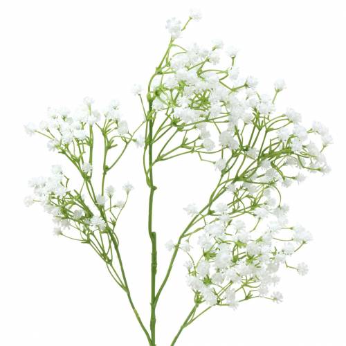 Floristik24 Baby's Breath Gypsophila Biały 66cm