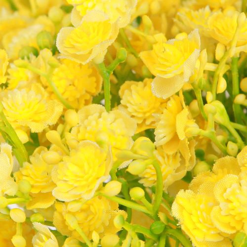 Produkt Gypsophila wiechowata ziele gipsowe kwiaty żółte L46cm 4 szt