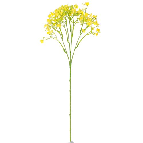 Produkt Gypsophila wiechowata ziele gipsowe kwiaty żółte L46cm 4 szt