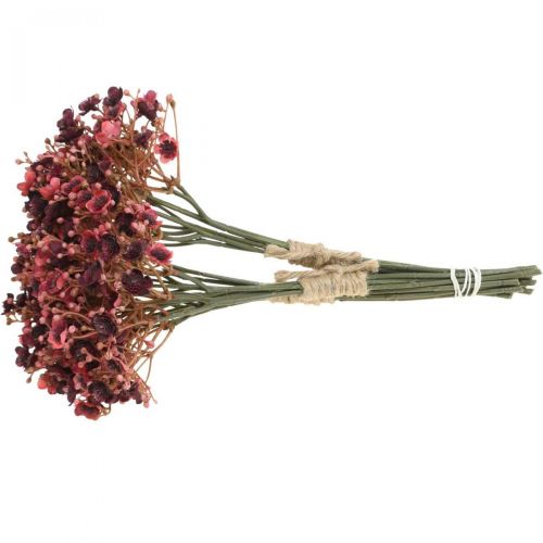 Produkt Gypsophila sztuczne czerwone kwiaty sztuczne jesień 29,5cm 18szt