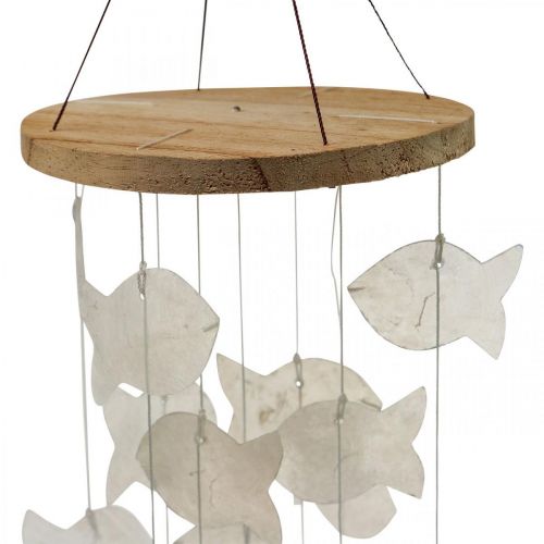 Floristik24 Dekoracja wisząca muszle dzwonek wietrzny Capiz ogród Ø12cm dł.49cm