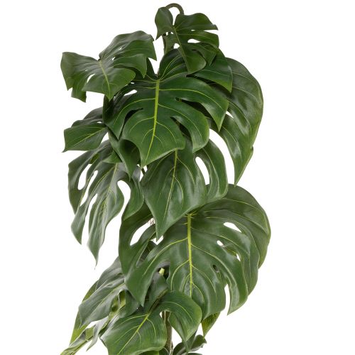 Sztuczna Monstera z dużymi liśćmi, stylowy akcent w salonie 120 cm