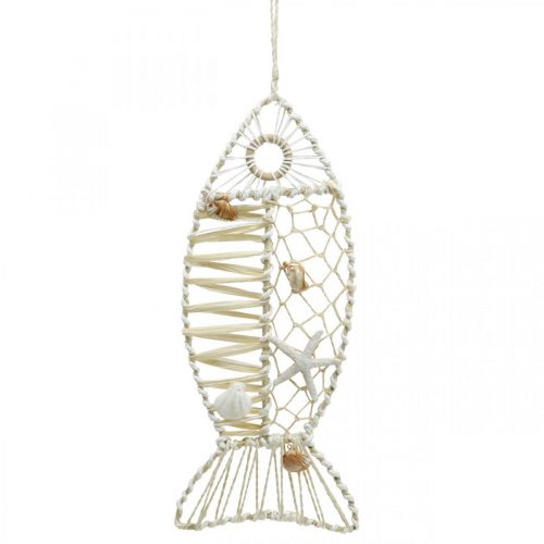 Floristik24 Deco Fish with Shell Deco, Maritime Deco, Fish to Hang White 38cm