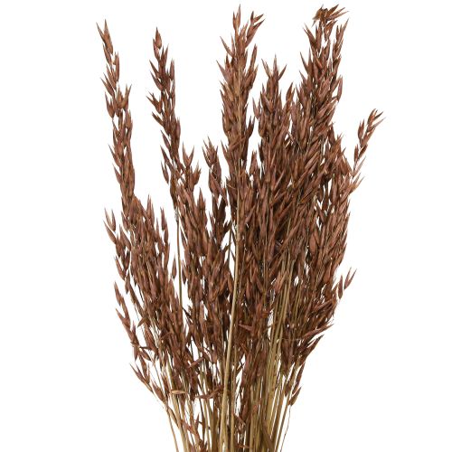 Produkt Owies sucha dekoracja sucha trawa brązowa L64cm 70-75g 2szt