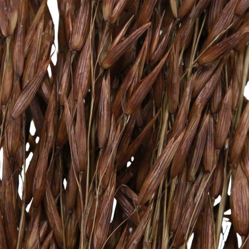 Produkt Owies sucha dekoracja sucha trawa brązowa L64cm 70-75g 2szt