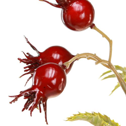 Floristik24 Gałązki ozdobne sztuczne z dzikiej róży z 7 owocami ciemnoczerwone 48cm