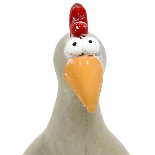 Floristik24 Figura dekoracyjna kogut beton H20,5cm