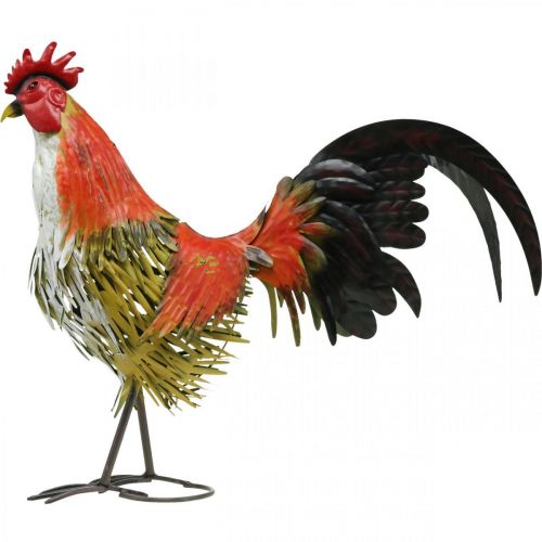 Floristik24 Dekoracyjny kogut metalowy kolorowy ogród dekoracja figura metalowa dekoracja 58×13×50cm