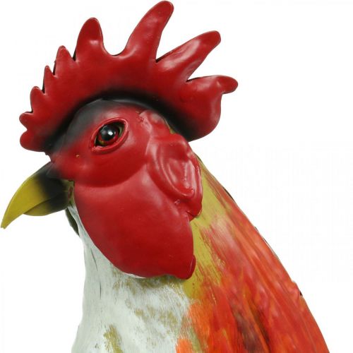 Floristik24 Dekoracyjny kogut metalowy kolorowy ogród dekoracja figura metalowa dekoracja 58×13×50cm