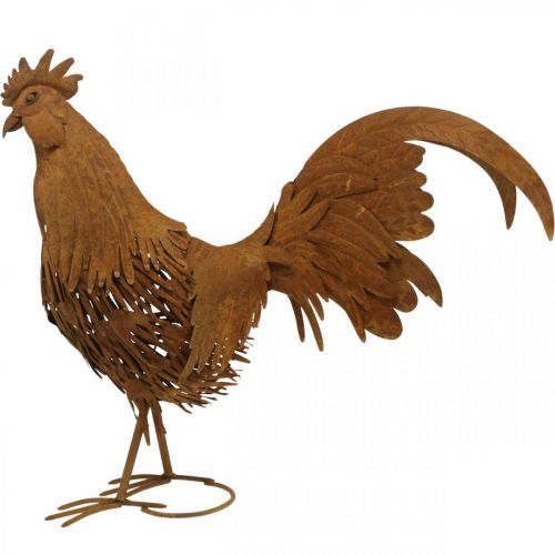 Floristik24 Kogut zardzewiały dekoracja ogrodowa patyna dekoracja figurka metalowa 58×13×50cm