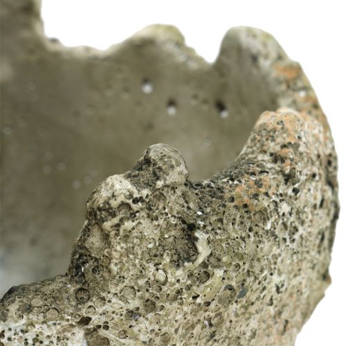 Floristik24 Kula betonowa do sadzenia Ø15cm H13,5cm