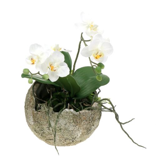Floristik24 Kula betonowa do sadzenia Ø15cm H13,5cm