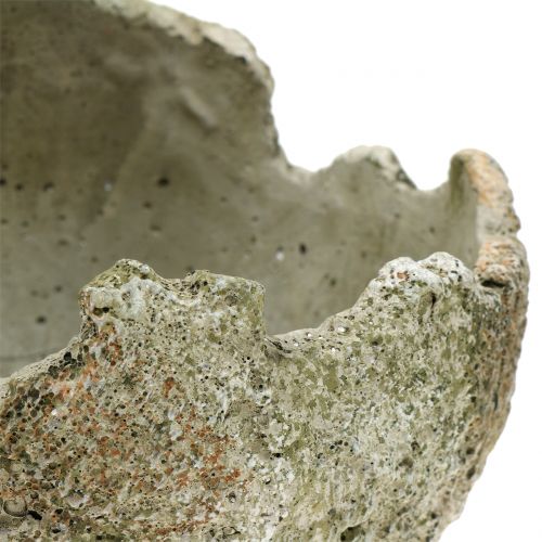 Floristik24 Kula betonowa do nasadzeń Ø17cm H17,5cm