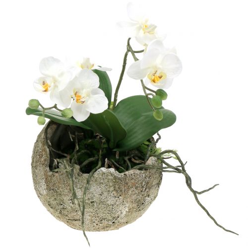 Floristik24 Kula betonowa do nasadzeń Ø17cm H17,5cm