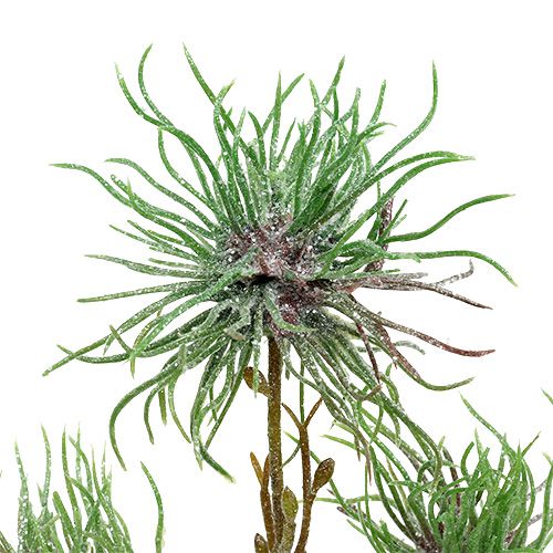 Floristik24 Gałązka oczaru wirginijskiego 44cm zielona, srebrna 1szt.