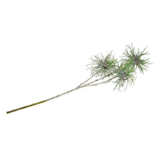 Floristik24 Gałązka oczaru wirginijskiego 44cm zielona, srebrna 1szt.