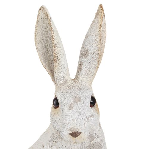 Floristik24 Dekoracyjna figurka siedzącego króliczka Zajączek wielkanocny Shabby Chic 12×9×25cm