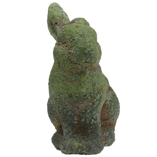 Floristik24 Figurka ogrodowa króliczek mech 20cm x 13cm H25cm