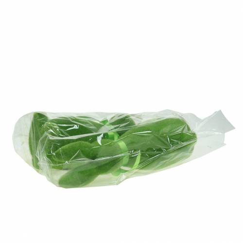 Floristik24 Królik flokowany zielony 30cm 2szt