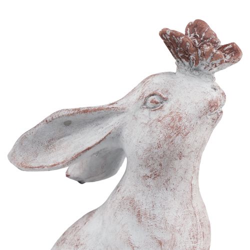 Floristik24 Królik siedzący Dekoracja motyla ze sztucznego kamienia 14×10,5×26cm