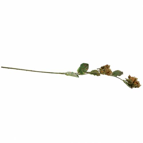 Floristik24 Gałązka orzecha laskowego zielona/brązowa 84cm
