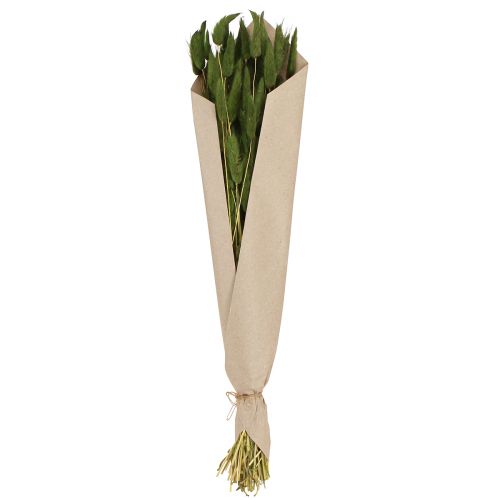 Produkt Lagurus Trawa Zająca Ogon Suszony Zielony 50-60cm 50g