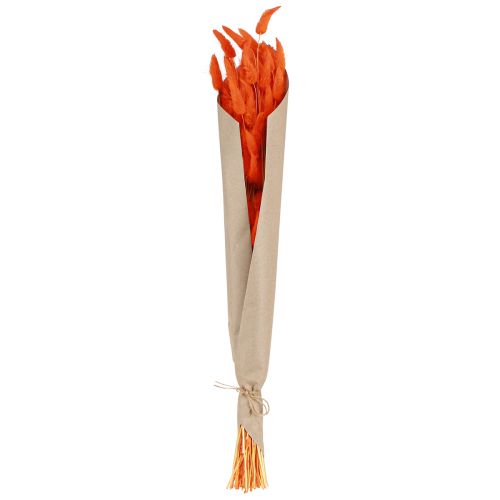 Produkt Ogon Królika Trawa Lagurus Suszona Pomarańcza 50-60cm 50g