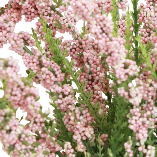 Floristik24 Wrzosowa miotła Erika w doniczce różowej, wys. 17 cm, 2 sztuki