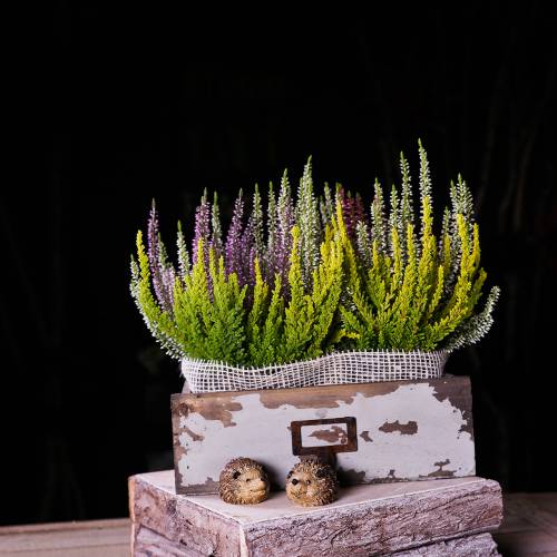 Floristik24 Planter Drewniana Szuflada Antyczna Szara 27cm x 13cm