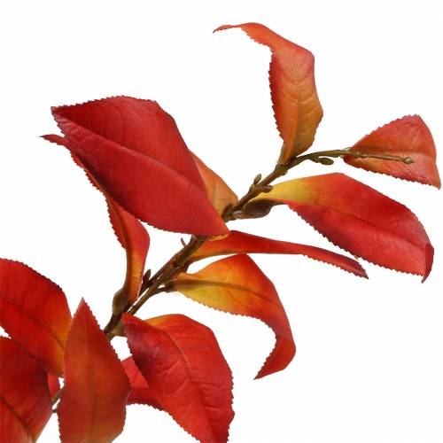 Floristik24 Jesienna gałąź 72 cm