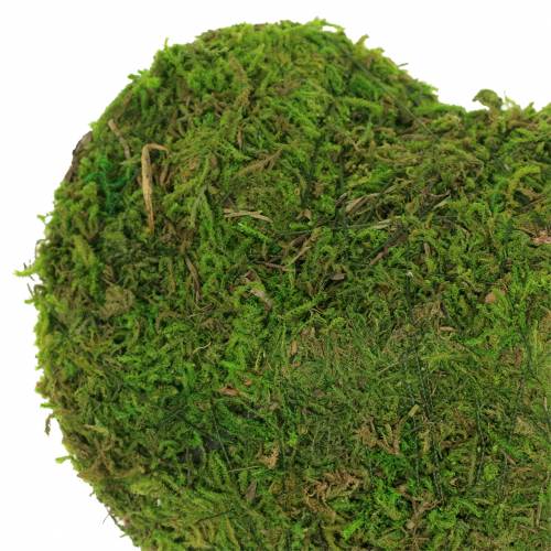 Floristik24 Mech serce zielone 20cm 3szt.