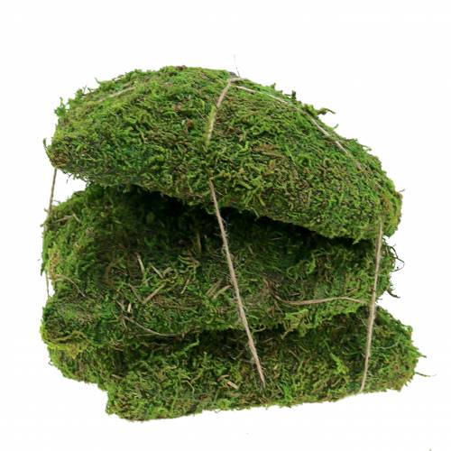 Floristik24 Mech serce zielone 20cm 3szt.