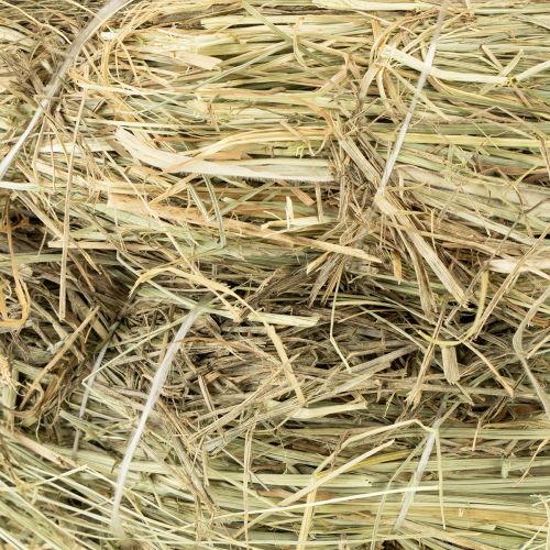 Produkt Wianki z siana 31-32cm 5 szt.