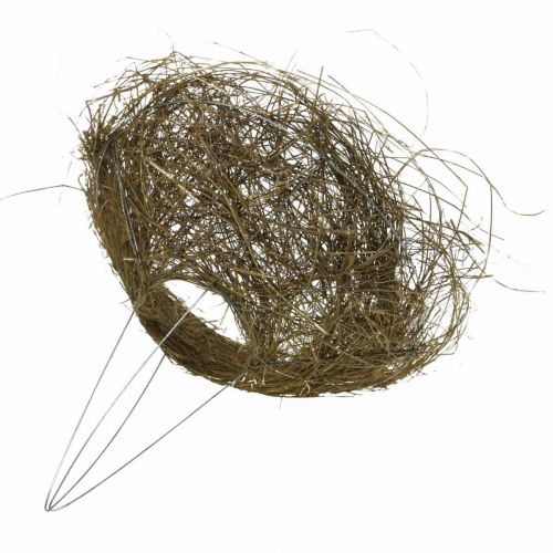 Floristik24 Mankiet bukiet siano natura bukiet mankiet Ø25cm 6szt