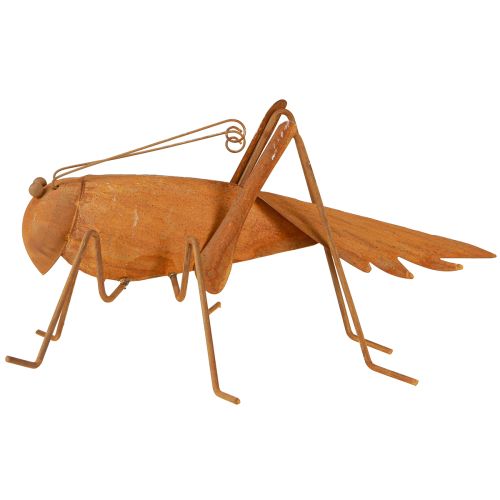 Floristik24 Dekoracja ogrodowa Grasshopper Metalowa dekoracja w kolorze rdzy do postawienia 26cm
