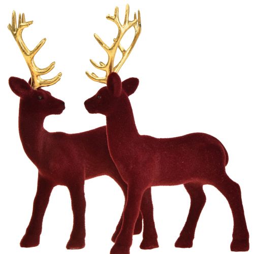 Floristik24 Deer Deco Renifer Bordeaux Złota Cielę Flokowane 20 cm Zestaw 2 szt