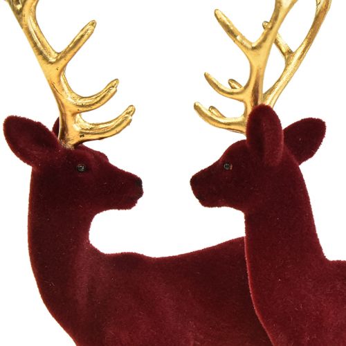 Floristik24 Deer Deco Renifer Bordeaux Złota Cielę Flokowane 20 cm Zestaw 2 szt