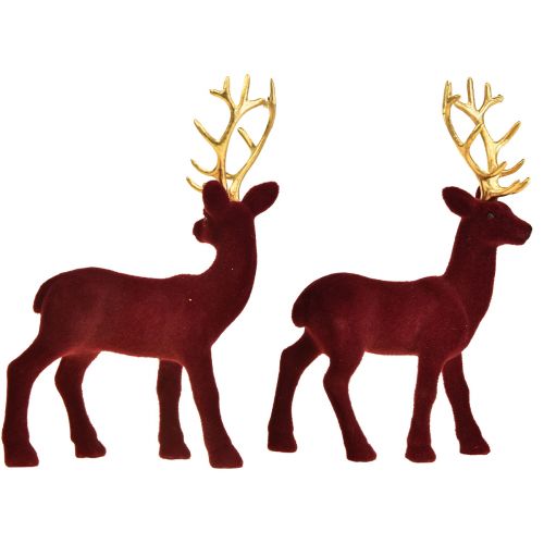 Floristik24 Deer Deco Renifer Bordeaux Złota Cielę Flokowane 20 cm Zestaw 2 szt