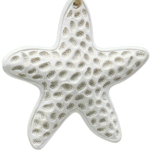 Floristik24 Zawieszka dekoracyjna rozgwiazda, konik morski 12cm 3szt.